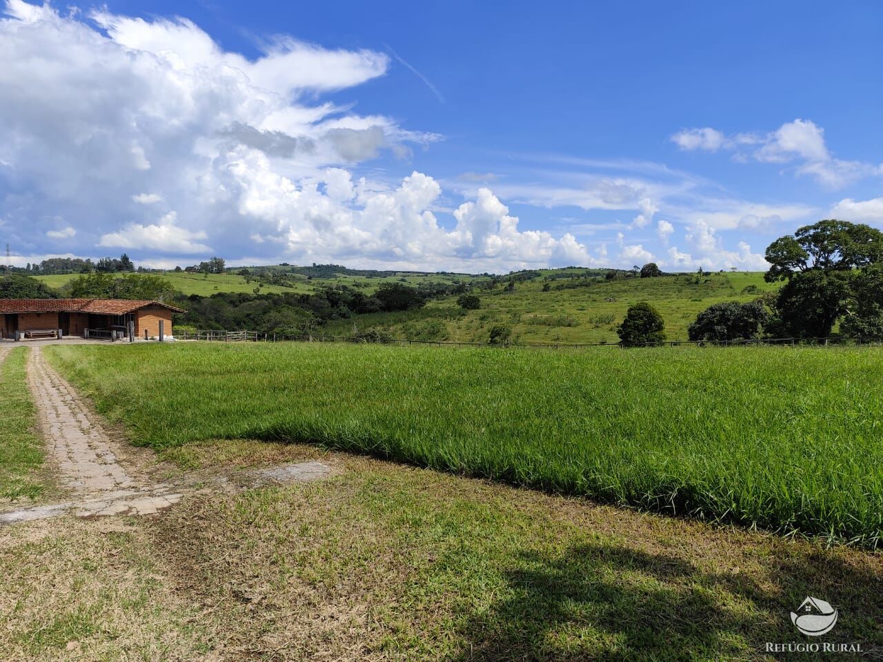 Fazenda, 435 hectares - Foto 13