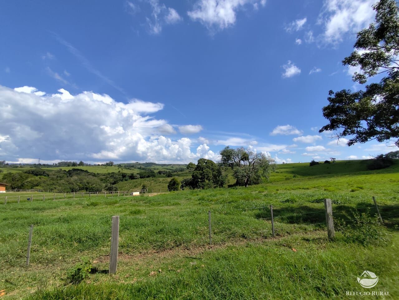 Fazenda, 435 hectares - Foto 29