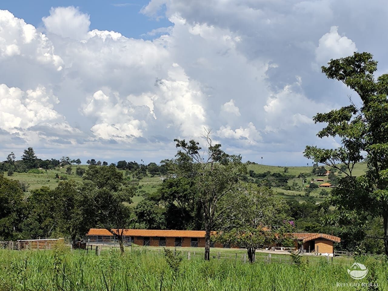 Fazenda, 435 hectares - Foto 19