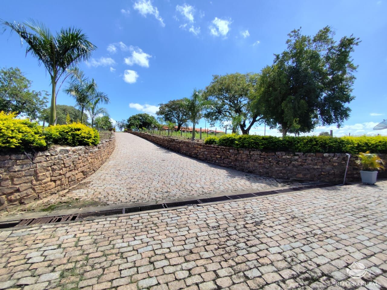 Fazenda, 435 hectares - Foto 27
