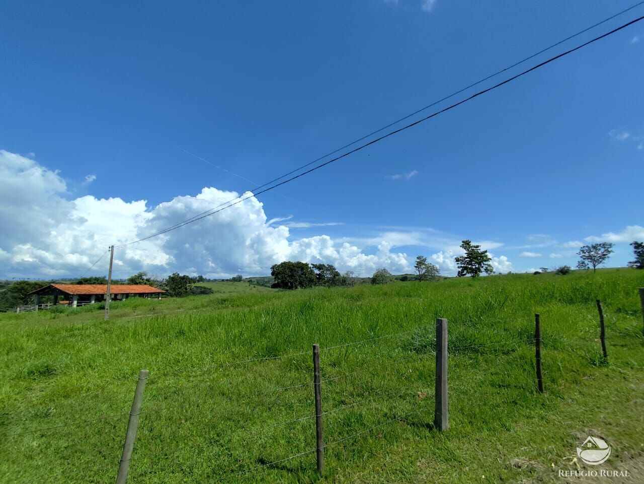 Fazenda, 435 hectares - Foto 15