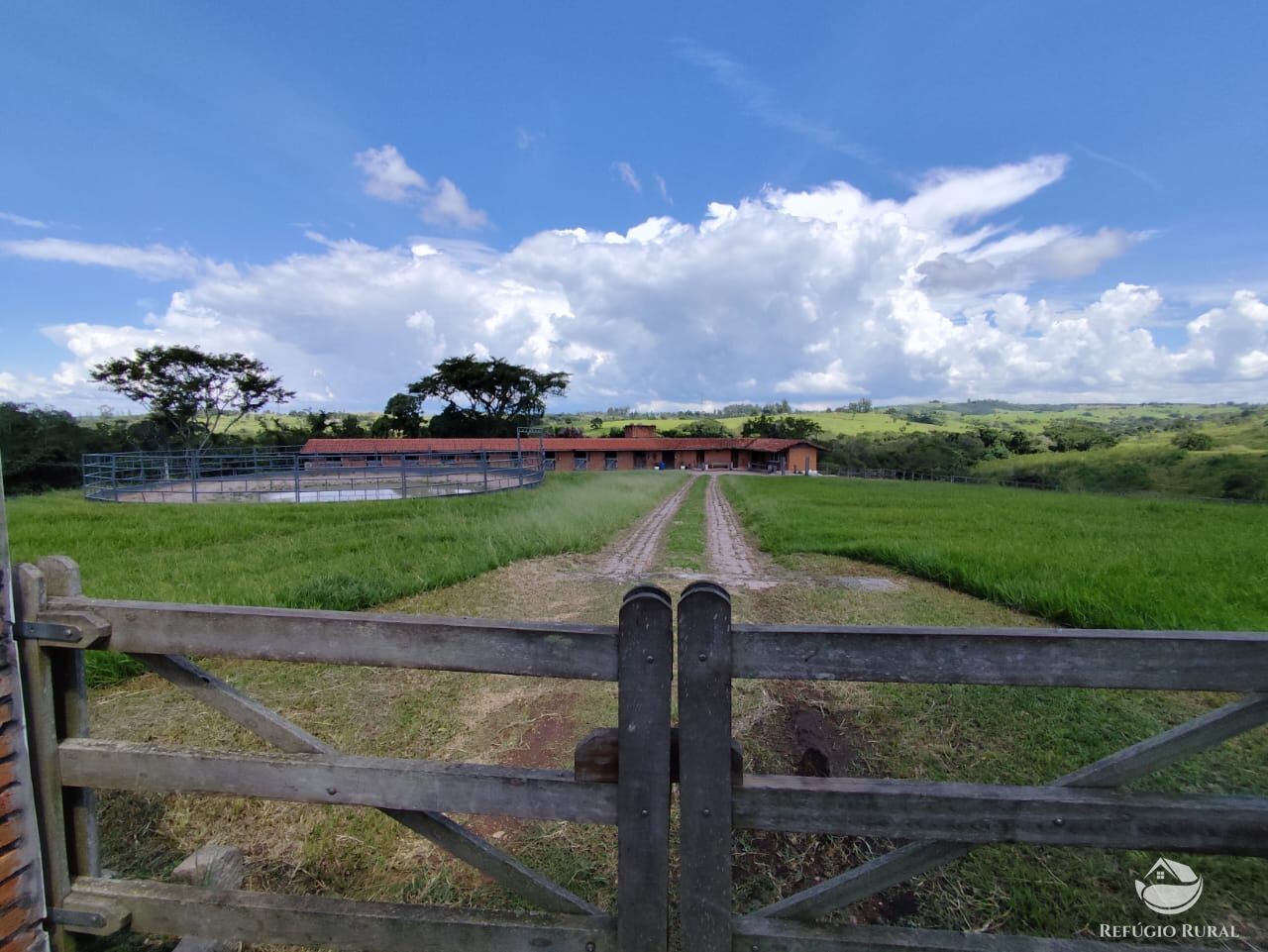 Fazenda, 435 hectares - Foto 6