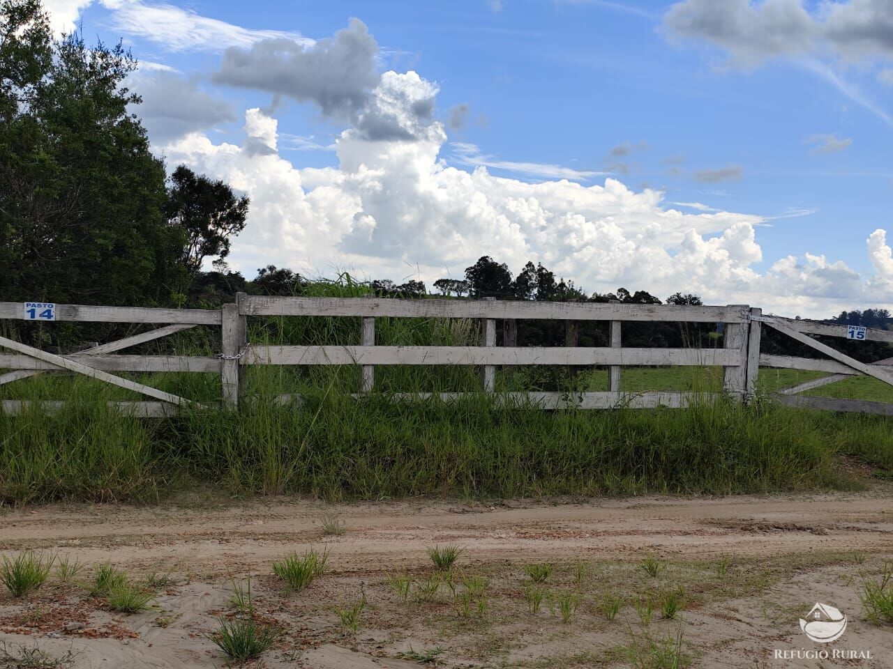 Fazenda, 435 hectares - Foto 17