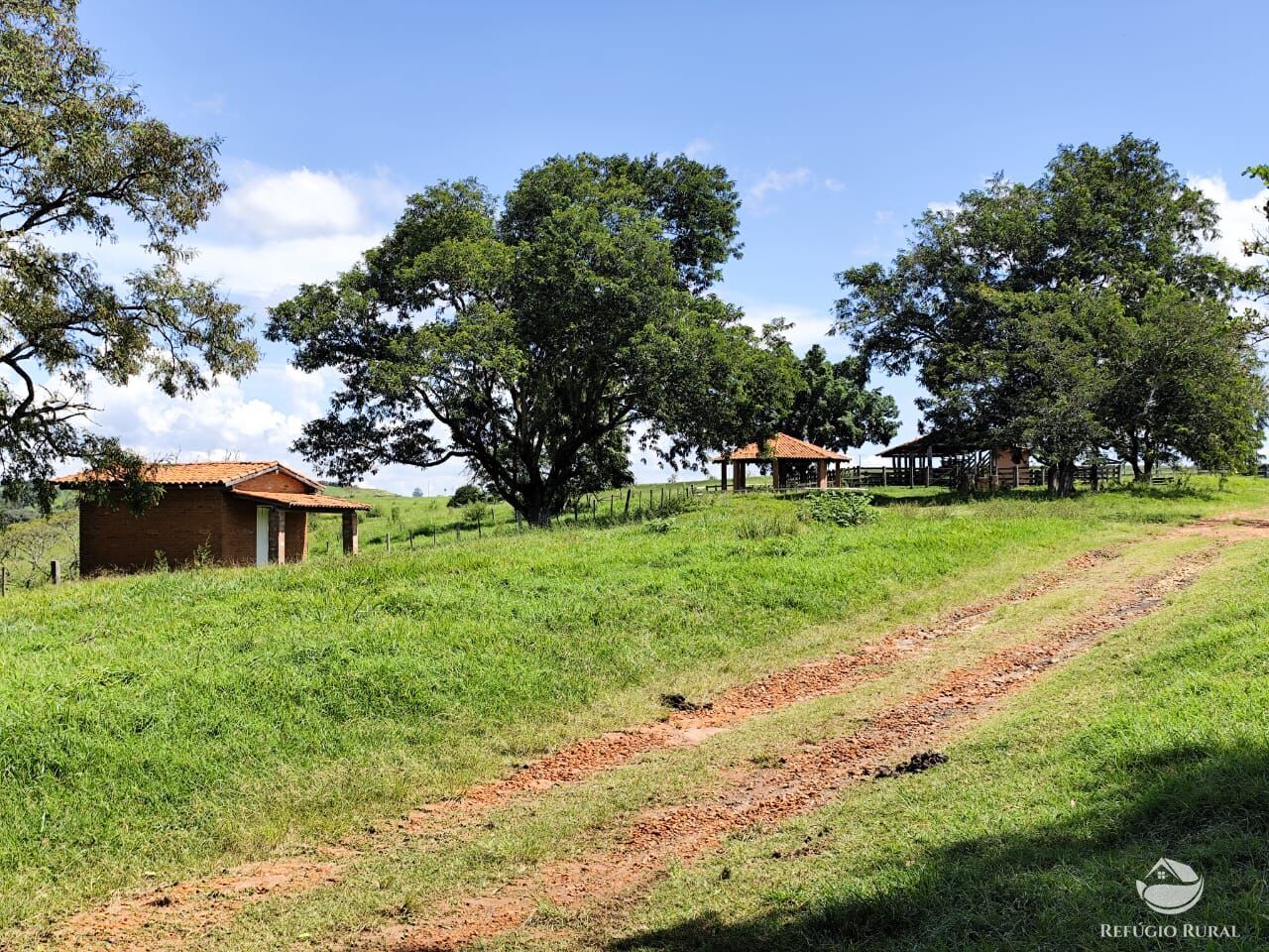 Fazenda, 435 hectares - Foto 8