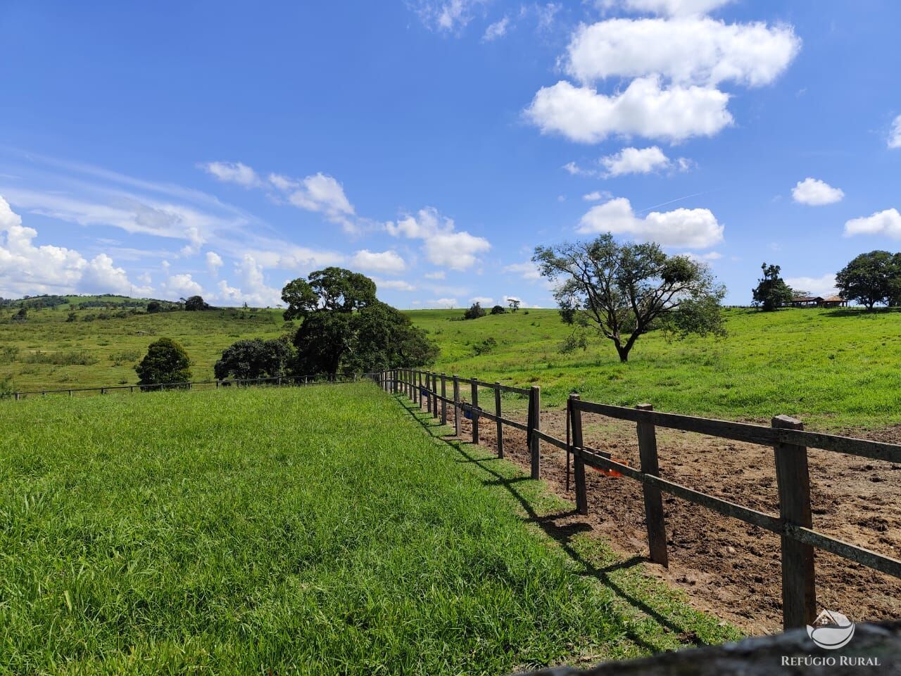 Fazenda, 435 hectares - Foto 40