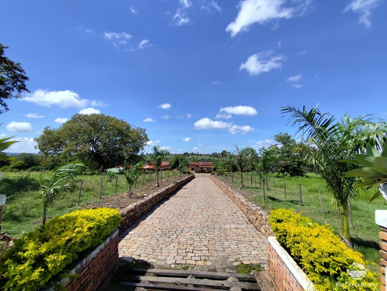 Fazenda, 435 hectares - Foto 42