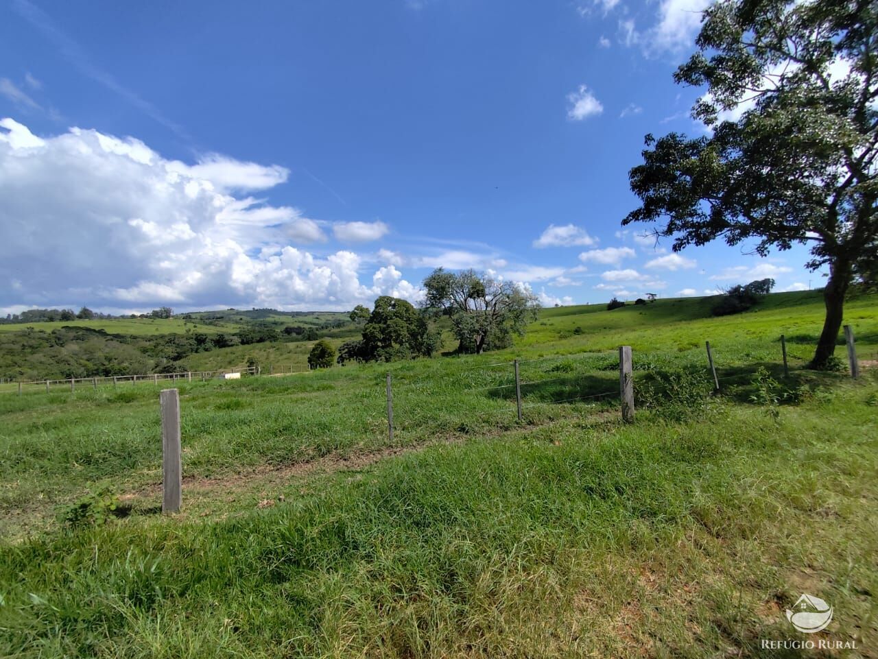 Fazenda, 435 hectares - Foto 39