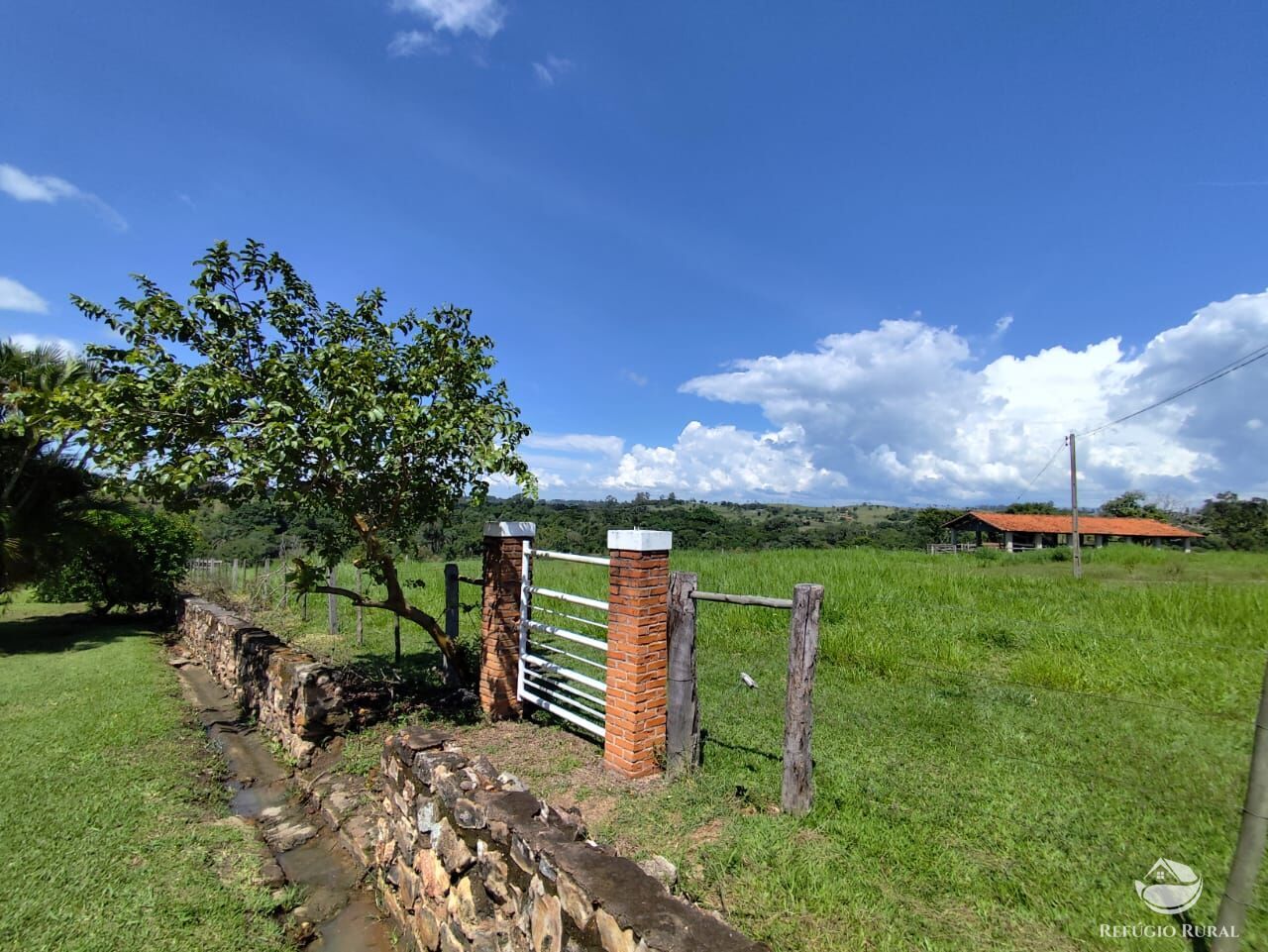 Fazenda, 435 hectares - Foto 18