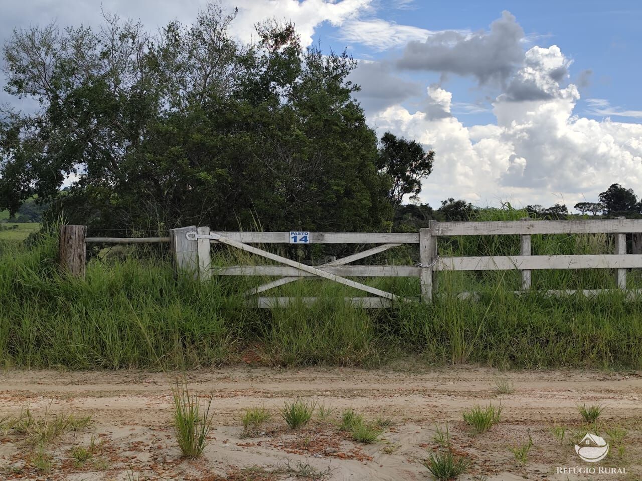 Fazenda, 435 hectares - Foto 32