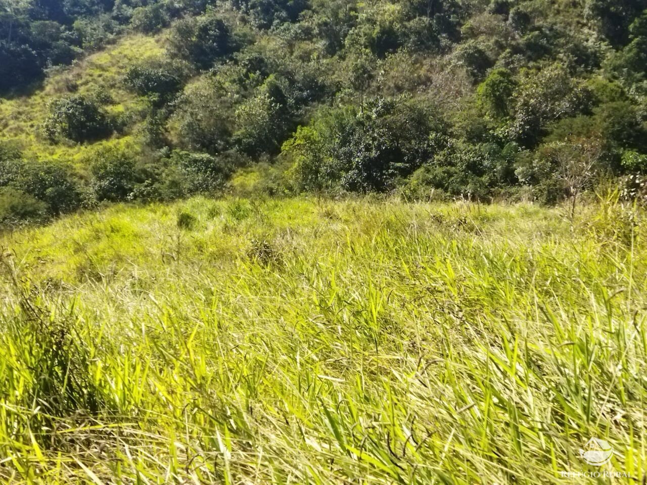 Terreno à venda, 50000m² - Foto 24