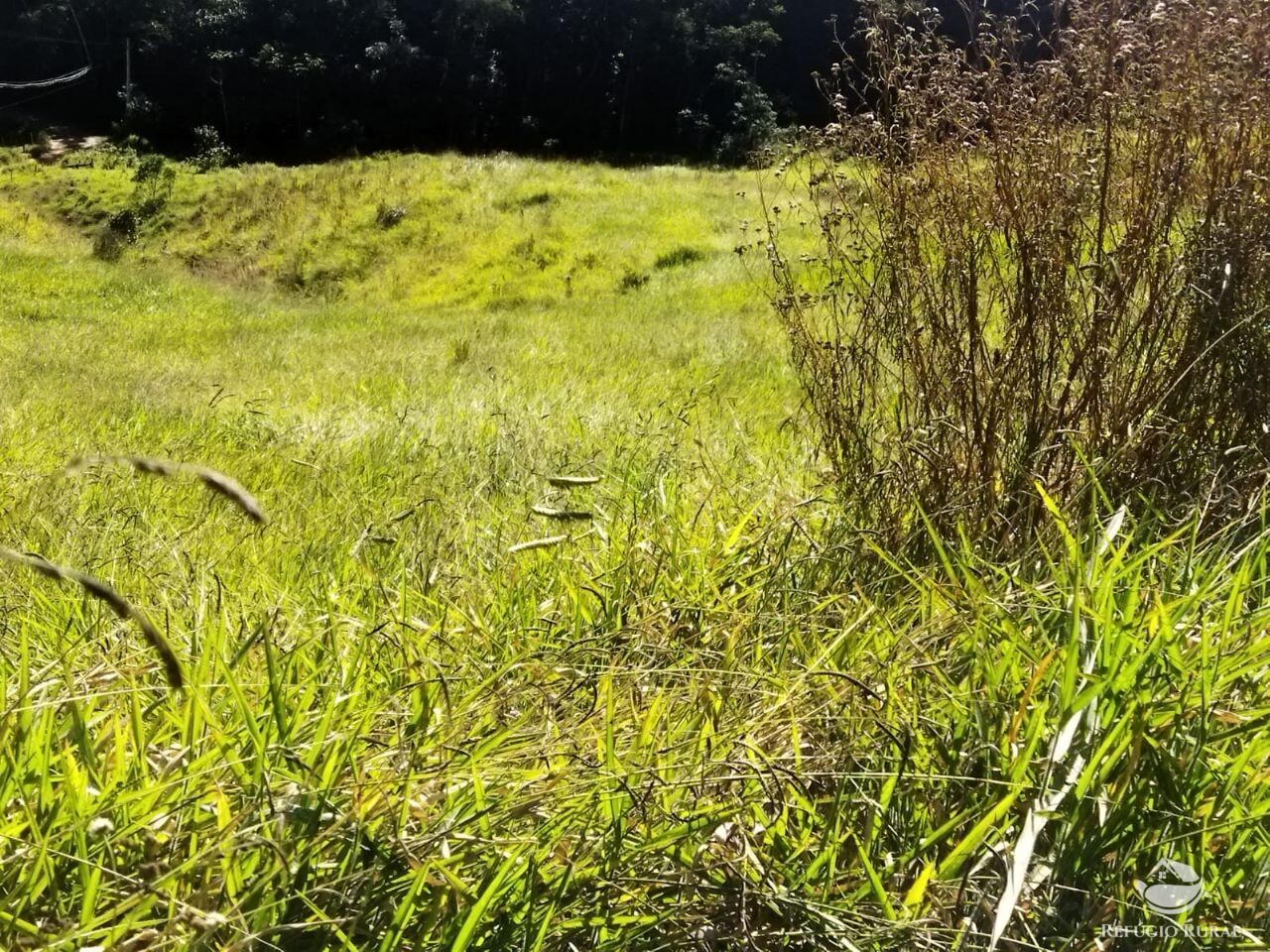 Terreno à venda, 50000m² - Foto 8