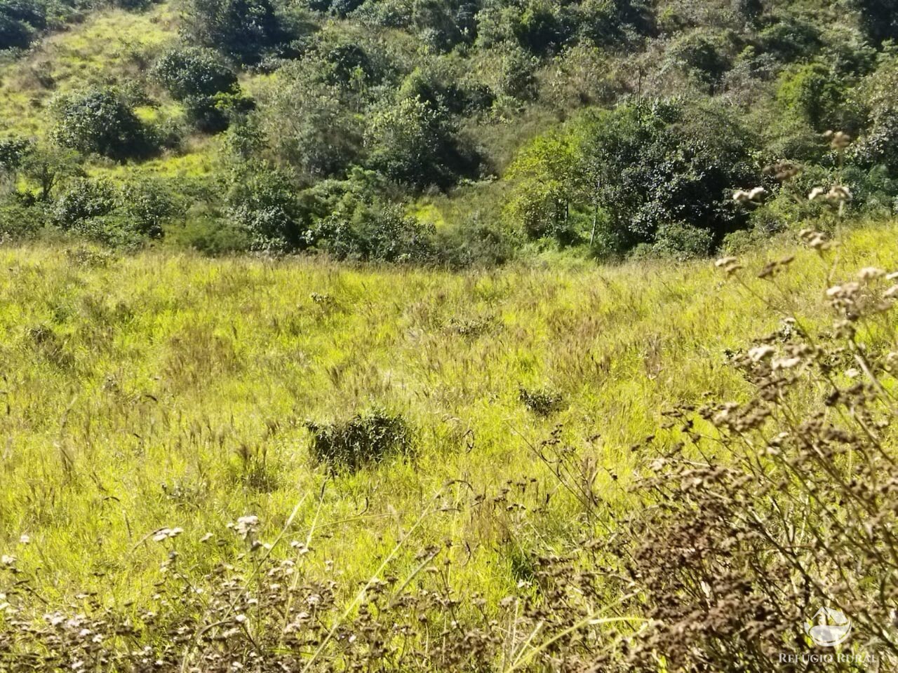 Terreno à venda, 50000m² - Foto 15