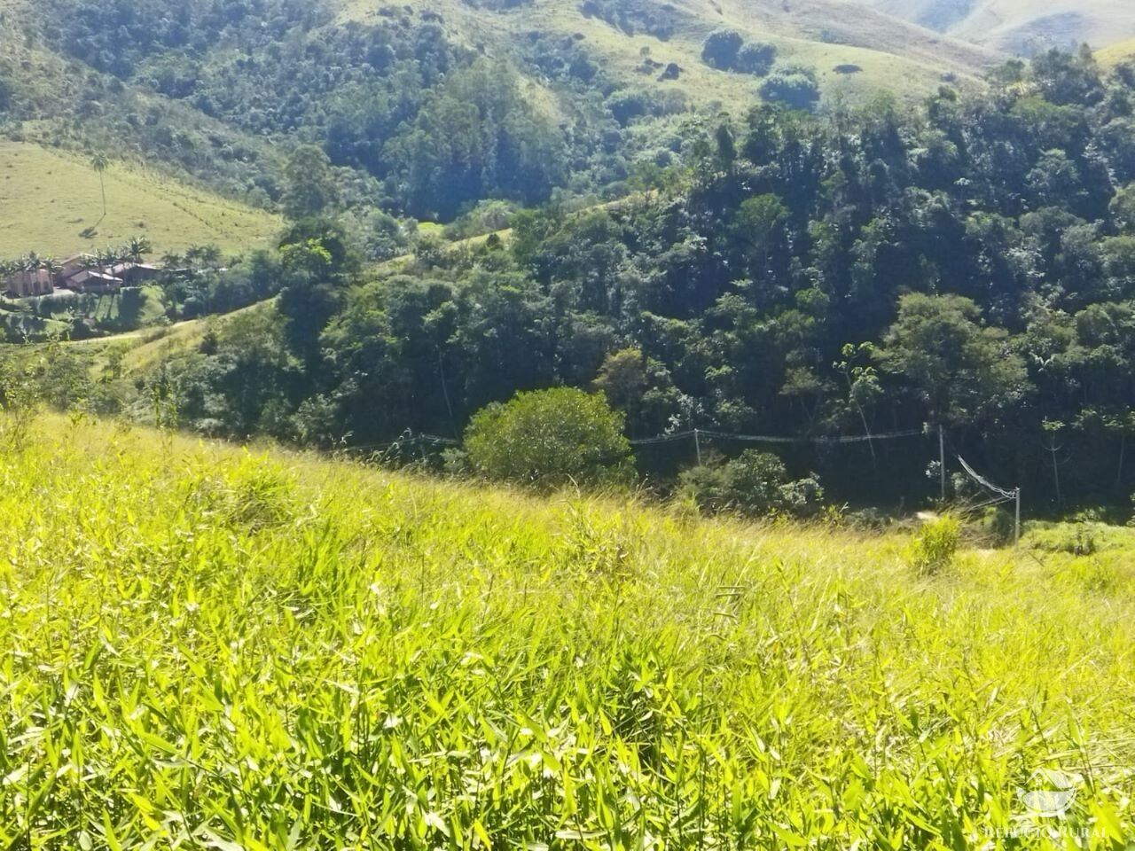 Terreno à venda, 50000m² - Foto 6