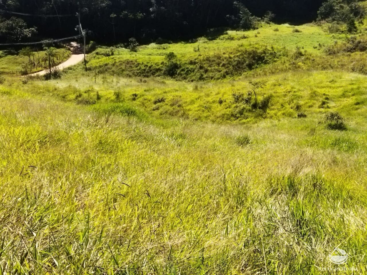 Terreno à venda, 50000m² - Foto 9