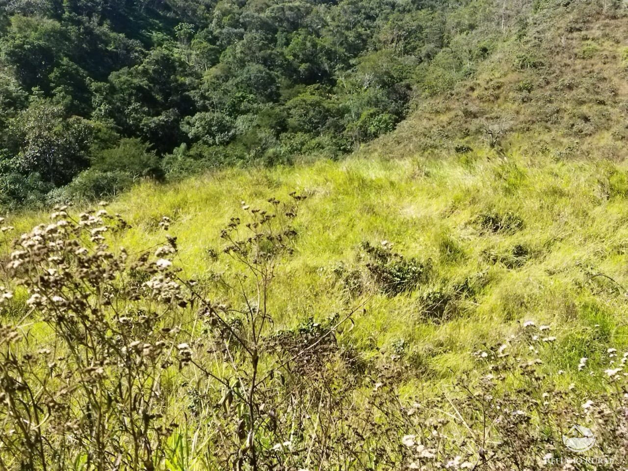 Terreno à venda, 50000m² - Foto 25