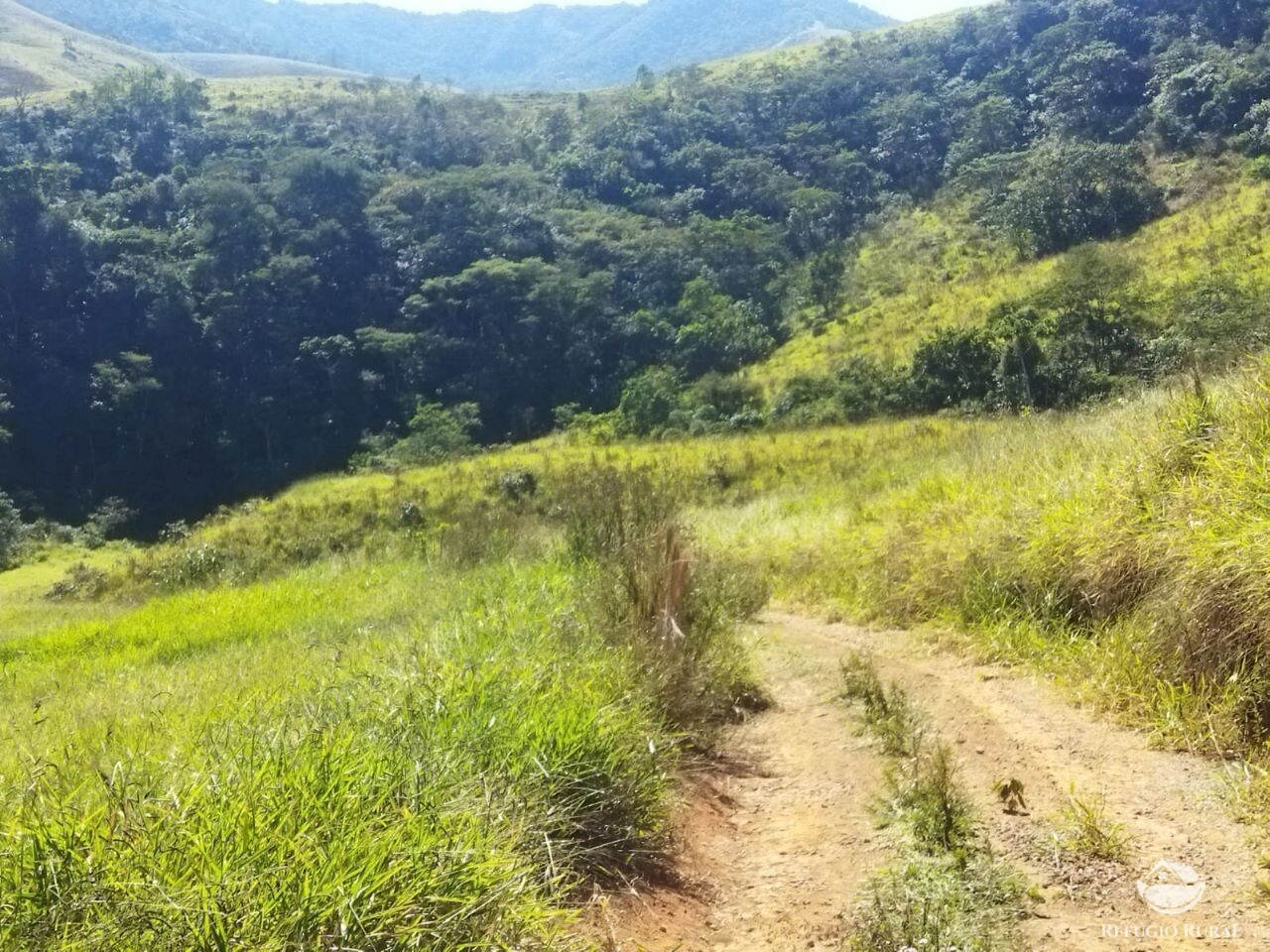 Terreno à venda, 50000m² - Foto 13