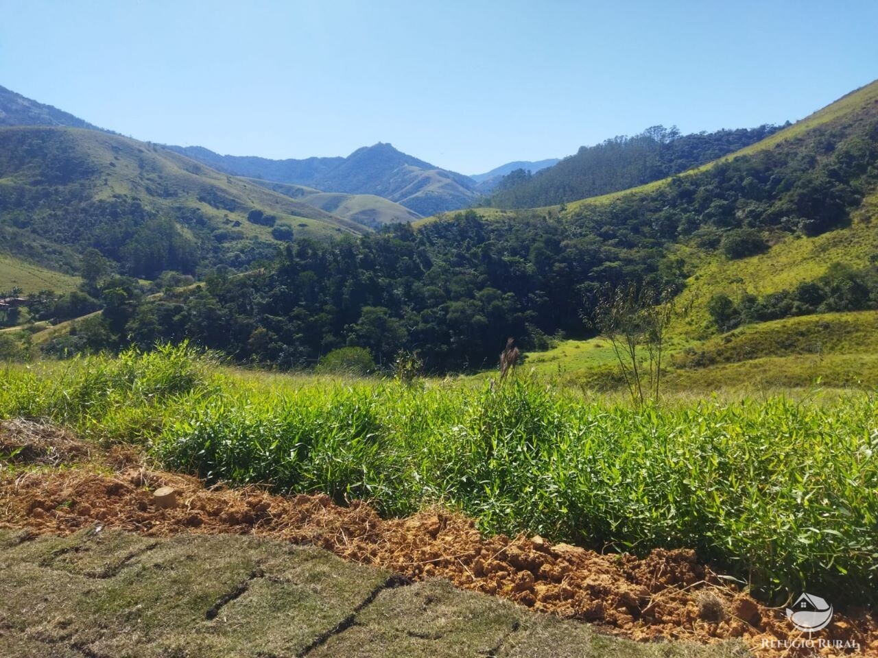 Terreno à venda, 50000m² - Foto 1