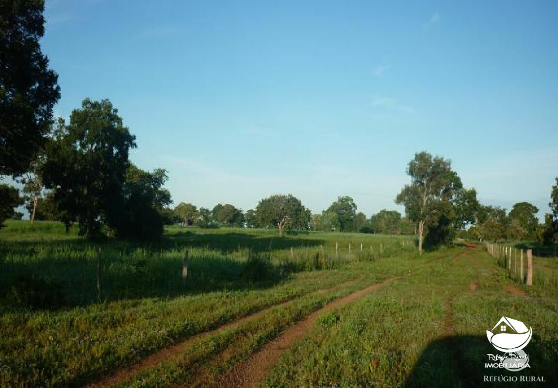 Fazenda à venda, 5157000m² - Foto 10