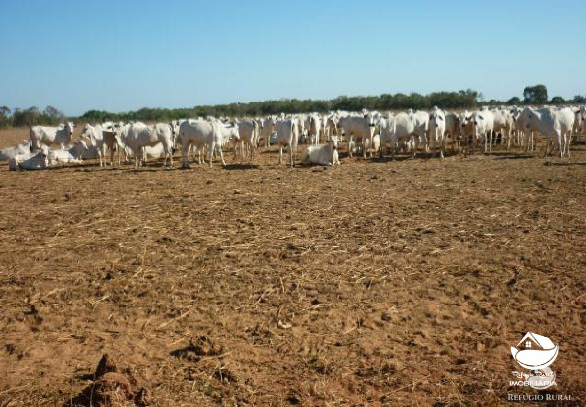 Fazenda à venda, 5157000m² - Foto 1