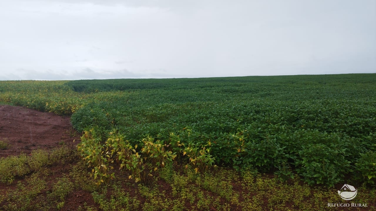 Fazenda à venda com 6 quartos, 30120000m² - Foto 1