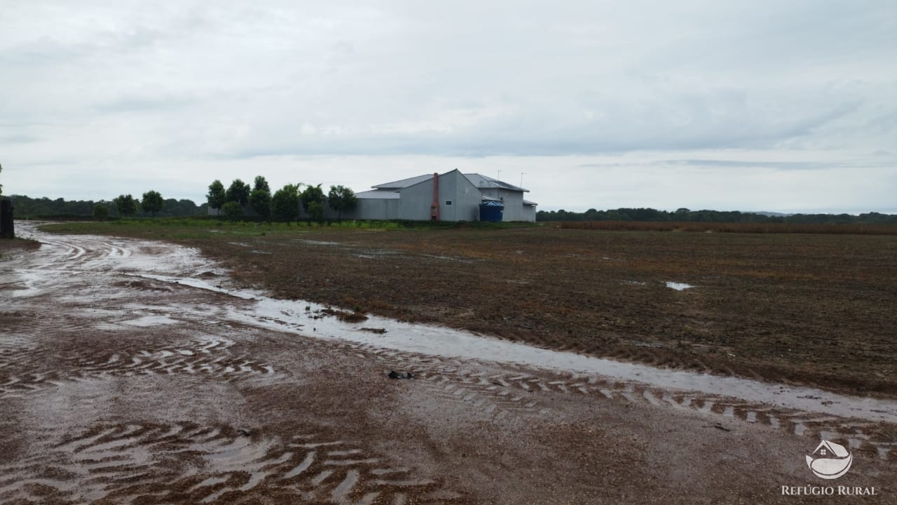 Fazenda à venda com 6 quartos, 30120000m² - Foto 4