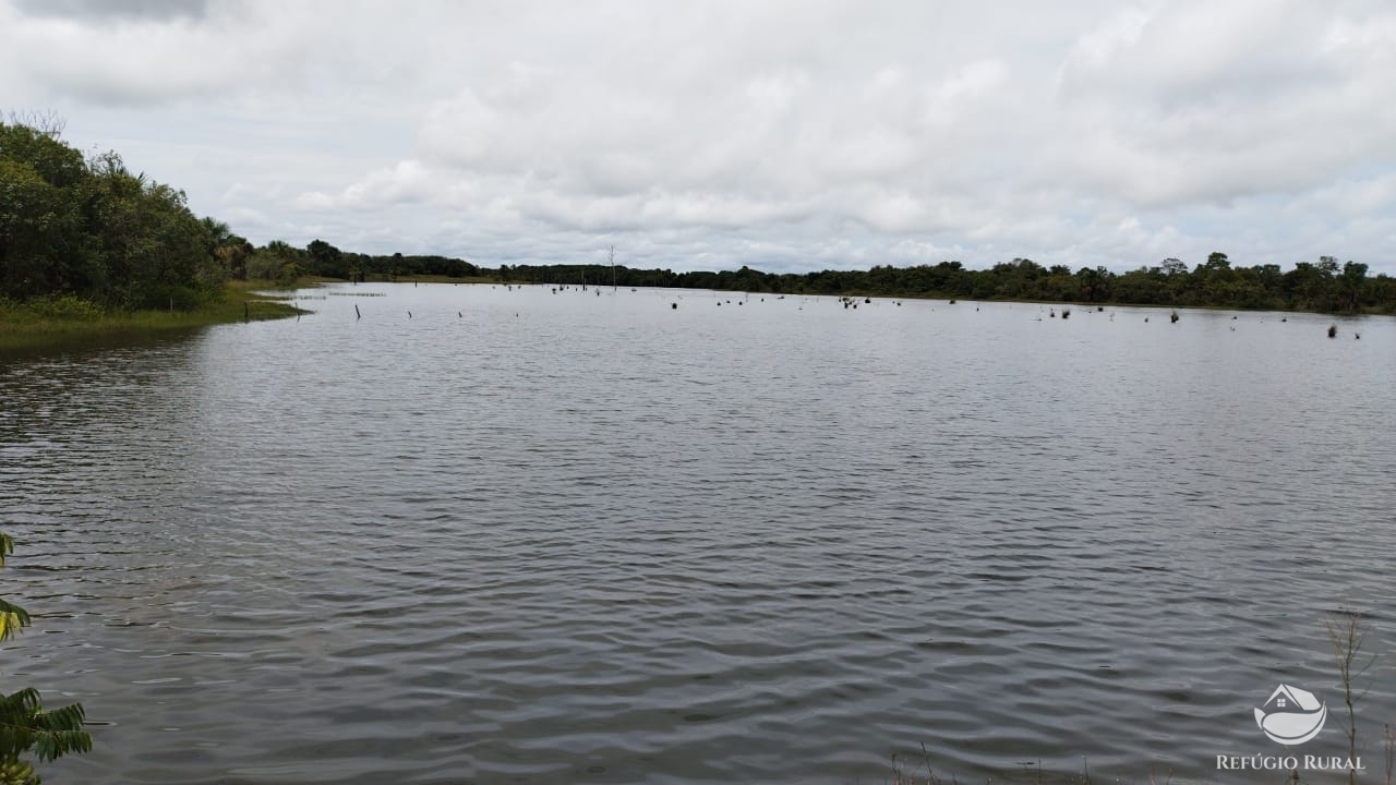 Fazenda à venda com 6 quartos, 30120000m² - Foto 2