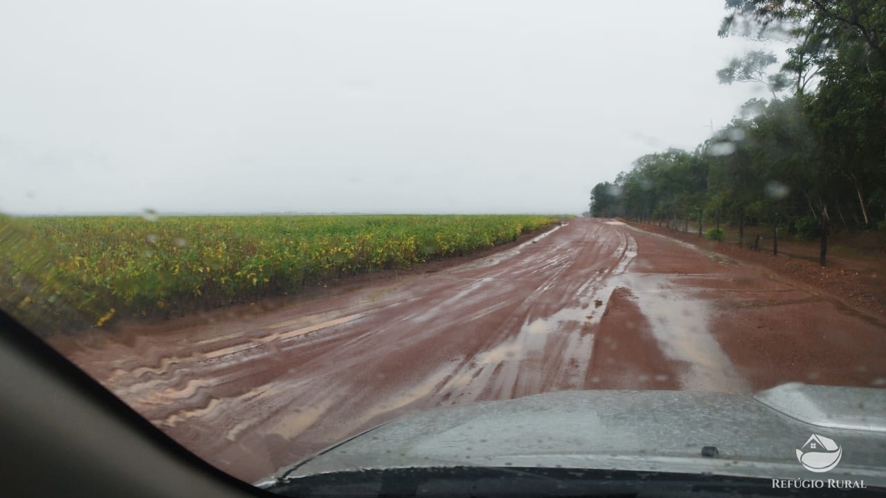 Fazenda à venda com 6 quartos, 30120000m² - Foto 5