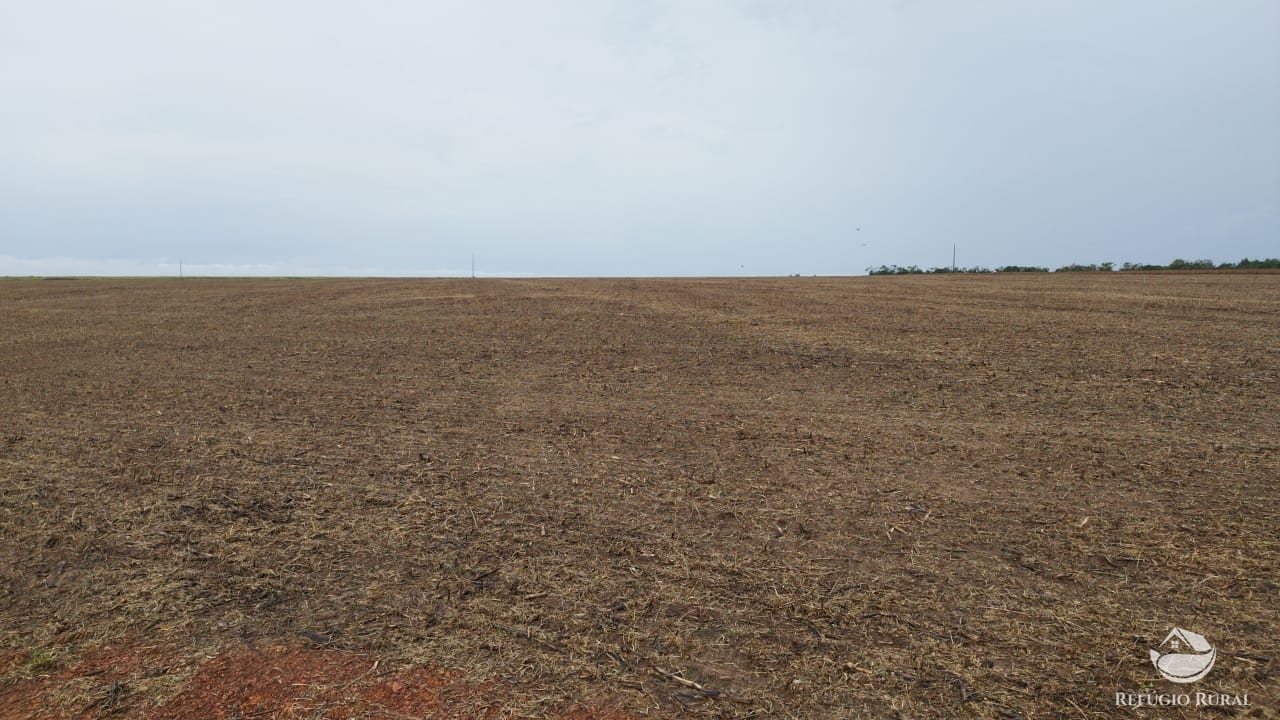 Fazenda à venda com 6 quartos, 30120000m² - Foto 6