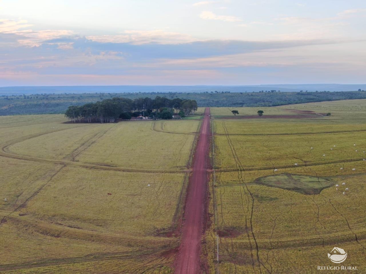 Fazenda à venda com 1 quarto, 15000000m² - Foto 1