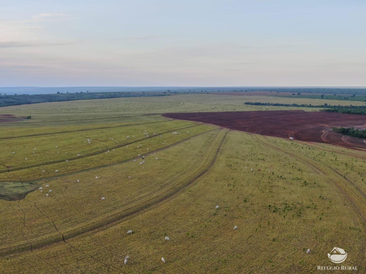 Fazenda à venda com 1 quarto, 15000000m² - Foto 2