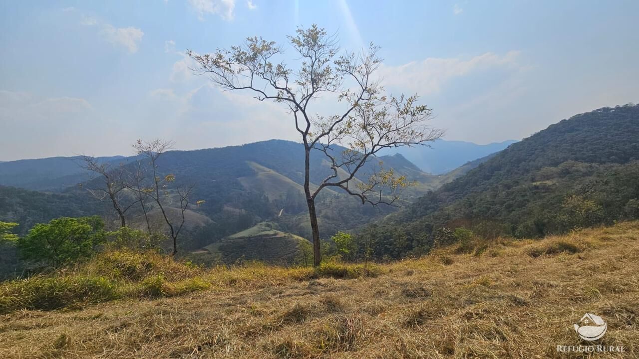 Terreno à venda, 25000m² - Foto 7