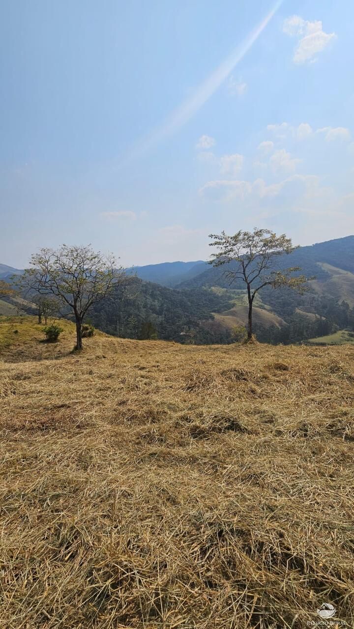 Terreno à venda, 25000m² - Foto 14