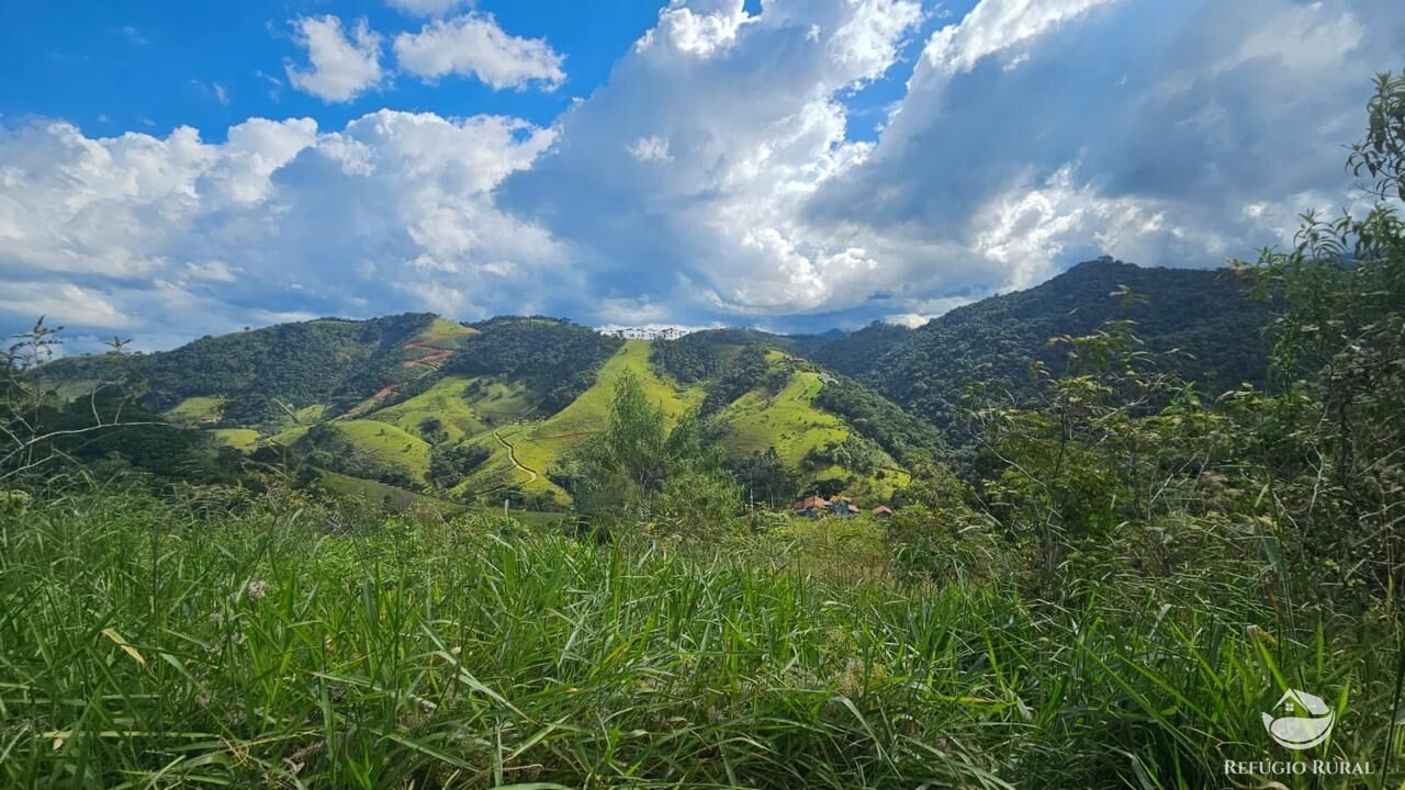 Terreno à venda, 25000m² - Foto 4