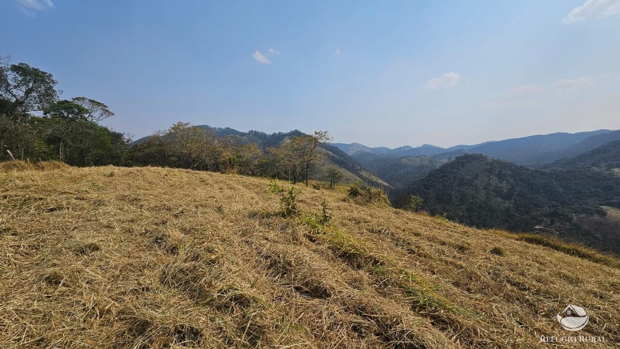 Terreno à venda, 25000m² - Foto 8