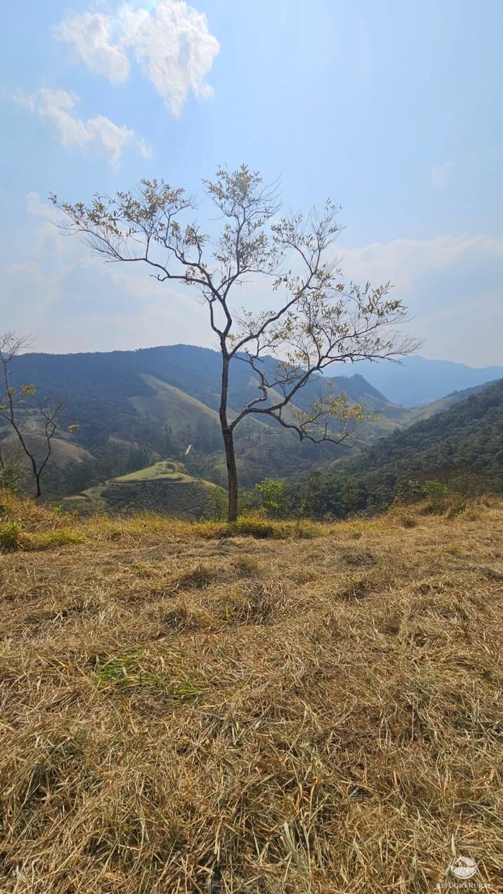 Terreno à venda, 25000m² - Foto 3