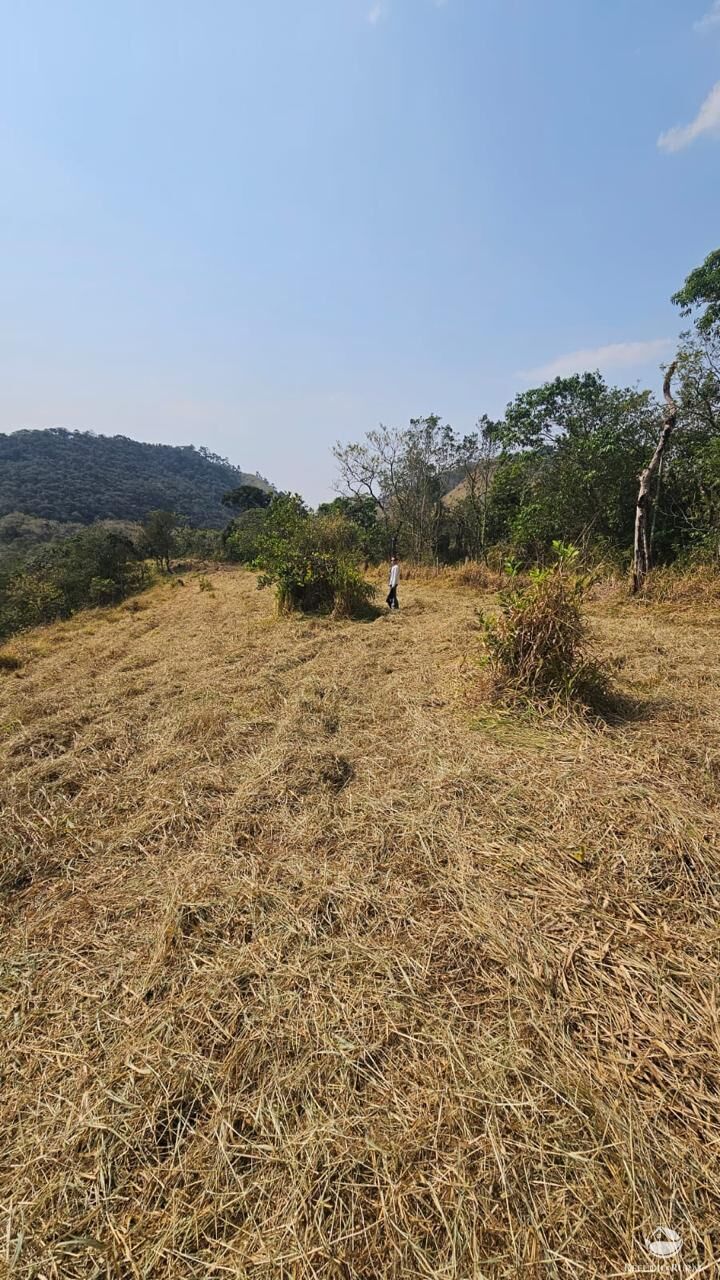 Terreno à venda, 25000m² - Foto 6