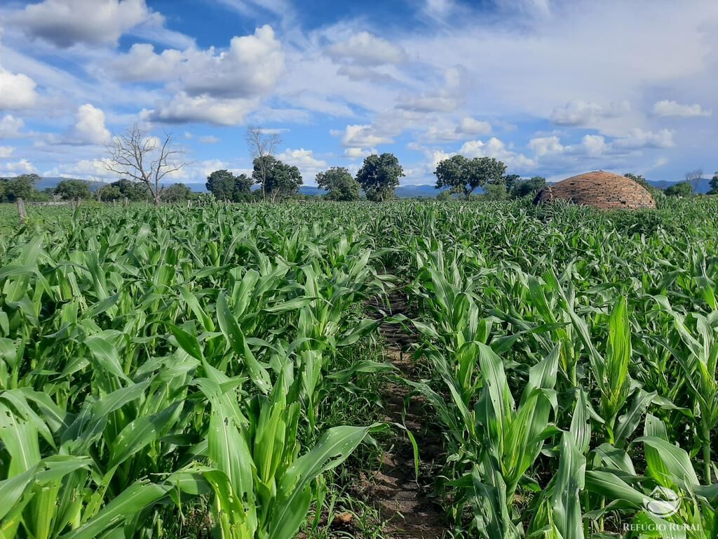 Fazenda à venda com 10 quartos, 97000000m² - Foto 1