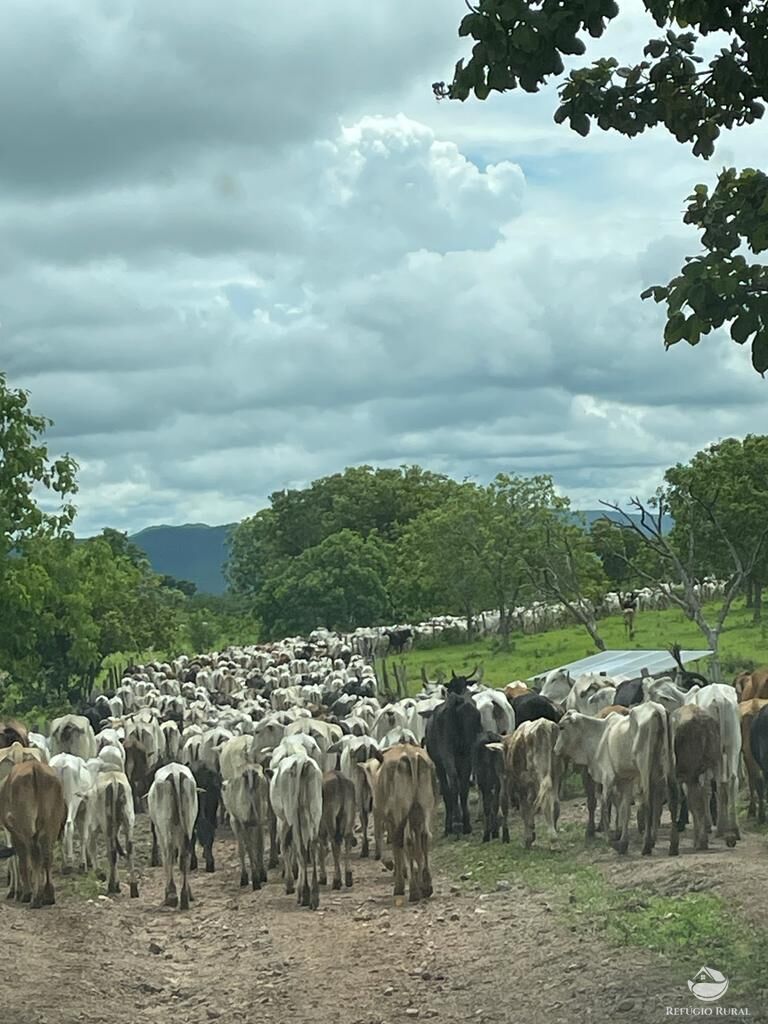 Fazenda à venda com 10 quartos, 97000000m² - Foto 2