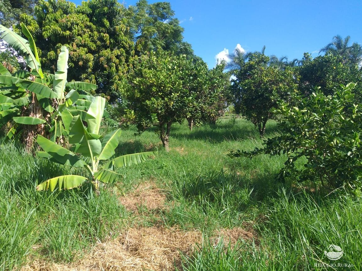 Fazenda à venda com 2 quartos, 175000m² - Foto 21