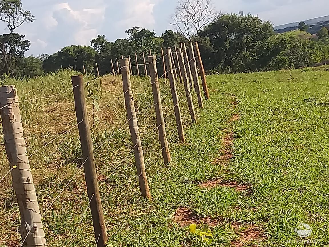 Fazenda à venda com 2 quartos, 175000m² - Foto 9