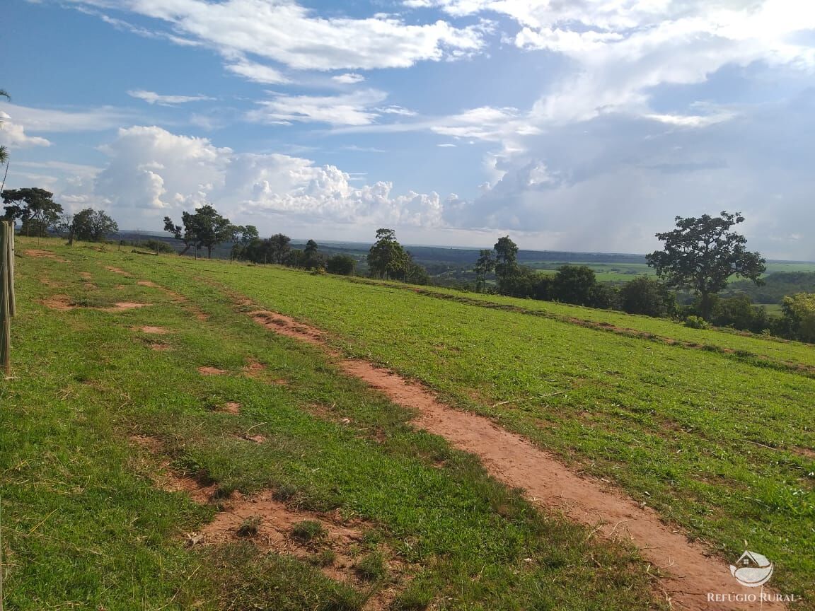 Fazenda à venda com 2 quartos, 175000m² - Foto 22