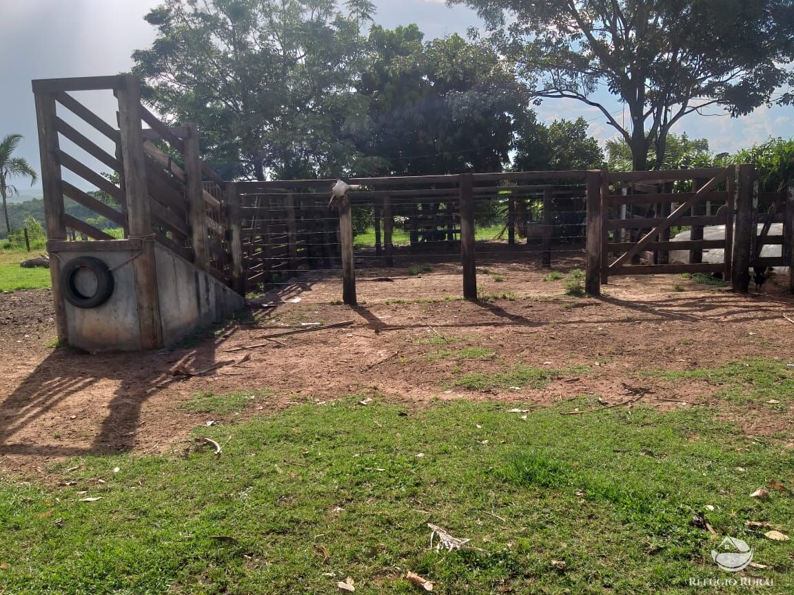 Fazenda à venda com 2 quartos, 175000m² - Foto 40