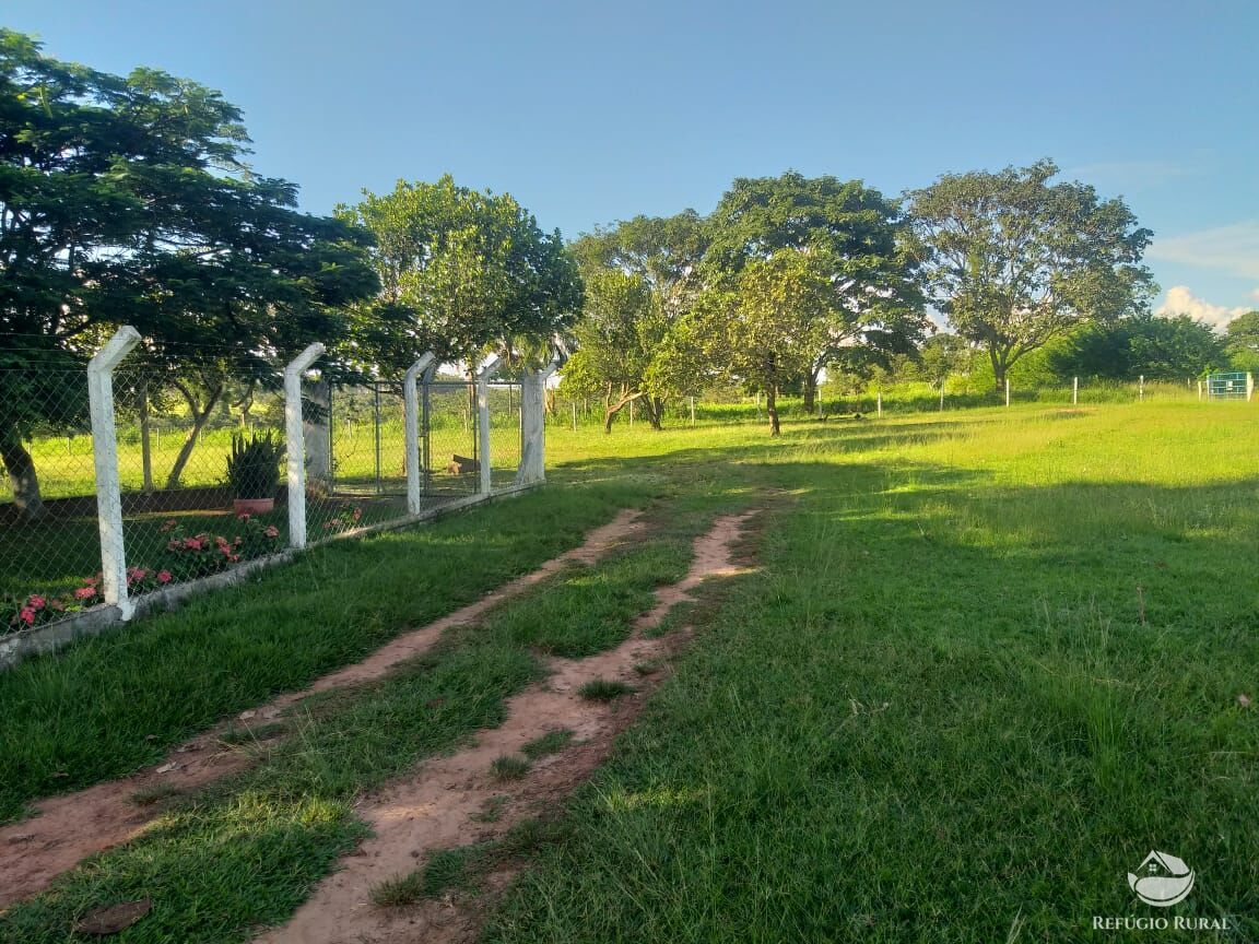 Fazenda à venda com 2 quartos, 175000m² - Foto 3