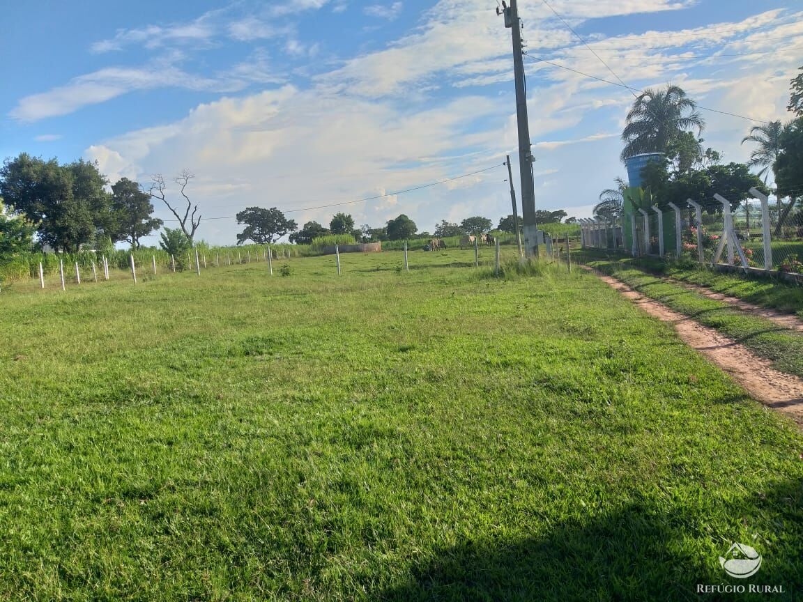 Fazenda à venda com 2 quartos, 175000m² - Foto 5