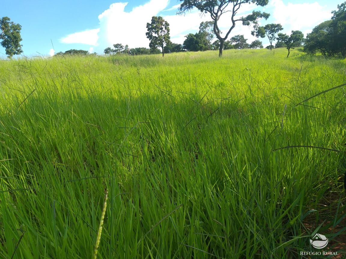 Fazenda à venda com 2 quartos, 175000m² - Foto 25