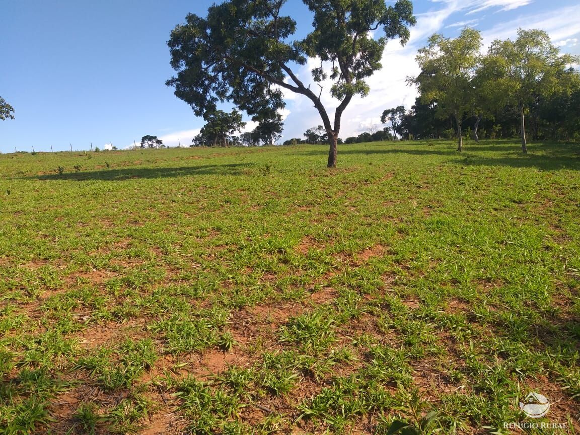 Fazenda à venda com 2 quartos, 175000m² - Foto 11