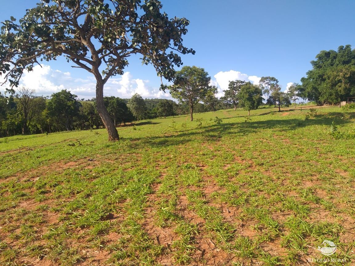 Fazenda à venda com 2 quartos, 175000m² - Foto 2