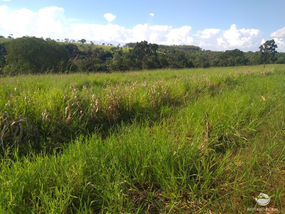 Fazenda à venda com 2 quartos, 175000m² - Foto 20