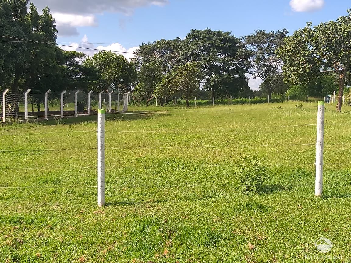 Fazenda à venda com 2 quartos, 175000m² - Foto 38