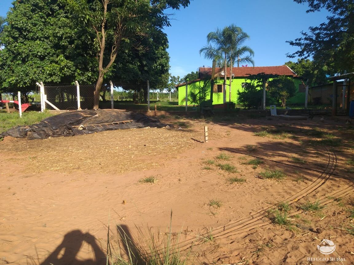 Fazenda à venda com 2 quartos, 175000m² - Foto 6